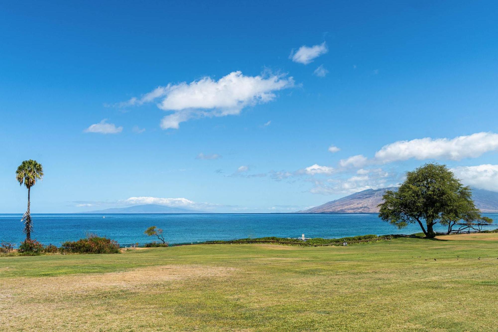 Maui Kamaole H-101 Apartman Wailea  Kültér fotó
